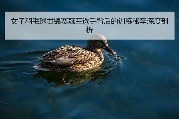 女子羽毛球世锦赛冠军选手背后的训练秘辛深度剖析